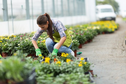 Landscaping team preparing a Wembley garden quote near a suburban home