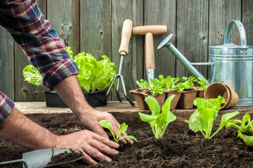 Patio installation planning for a Wembley garden