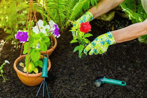 Decorative and practical garden lights for a Wembley outdoor space