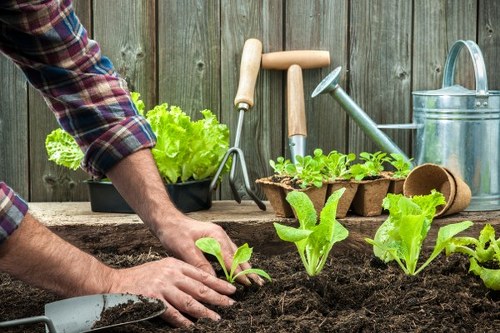 Person reviewing accessible landscaping content on a device