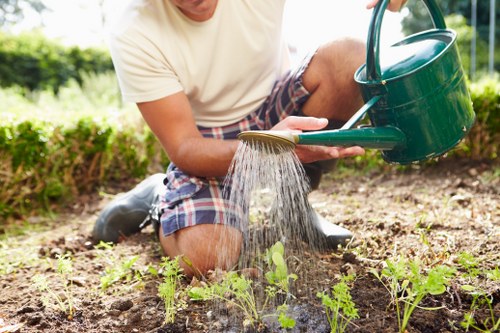 Garden makeover planning and landscaping in a Wembley residential outdoor space
