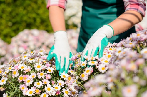 Supplier audit checklist for ethical landscaping services