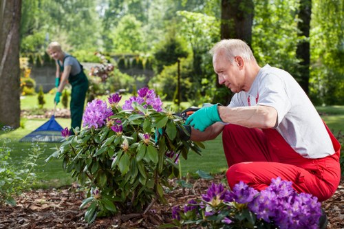 Low-maintenance garden makeover for a Wembley home or property