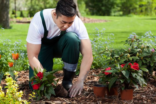 Professional garden landscaping and makeover service in Wembley