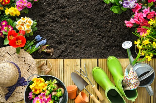Garden consultation and quotation review
