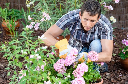 Landscaping quote review for a property near a busy Wembley street